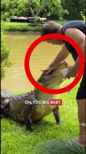 Croc Came For HIM... But Got This Instead 😱
