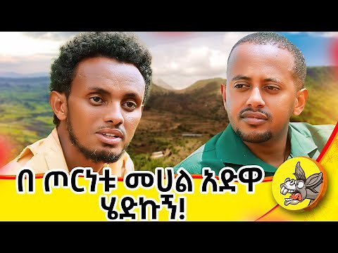 " መልእክት አለኝ አድምጡኝ" | ‪@donkeytube.eshetumelese‬ | ‪@donkeytubekids‬ | #eshetumelese