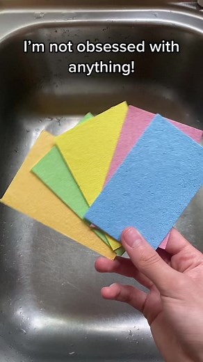 Magic Sponge on TikTok