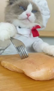 447K views · 5.3K reactions | chef puff satisfying cooking ASMR 藍 | Yummy TV | Facebook