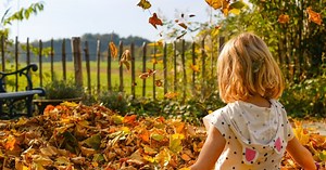 Therapeutic work with children and young people