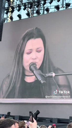 The haunting vocals of Amy Lee where absolutely outrageous, and those eyes.