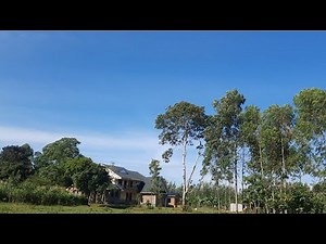 Mansions of the Village/African village life