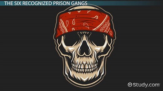 Prison Gangs | Names, Types & Statistics