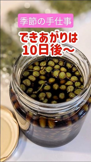 #旬#山椒#料理#山椒の実#季節の手仕事#実山椒#下処理#山椒の醤油漬け#ちりめん山椒#ご飯のお供#美味しい#旬の食べ物#japan#主婦#台所#日常