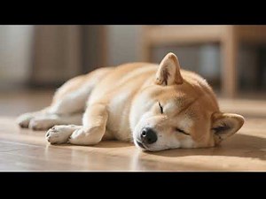 オフィスチェア キャスター 交換 MySit キャスター 椅子 後付けキャスター ウレタン 静音 キャスター交換 方法 差し込み式 OA椅子キャスター