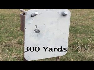 iStrelok App Bushnell AR 223 BDC Review 700 Yards