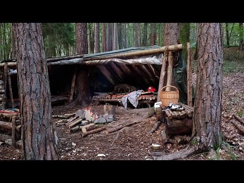 Camping Alone in the Forest (Solo)