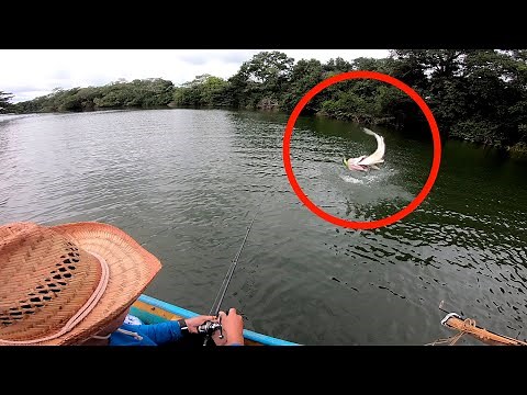 The Best Fishing for Huge Bass with a Speargun and Rod