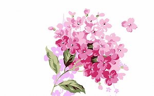 水彩教程-Watercolor系列教程