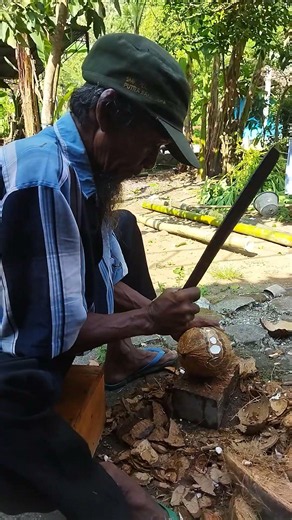 mengupas kelapa tua #kelapa #kupaskelapa #tutorial #tutorials