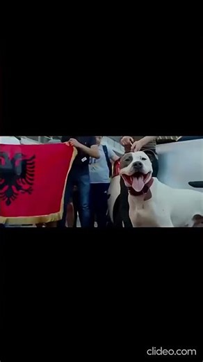 Azet & Zuna Baller Baby Type Beat JMNBEATZ