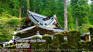 5.8K views · 440 reactions | Japan is full of extraordinary...