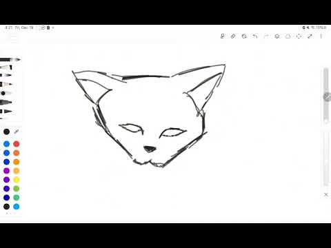How to draw a cat head! (VIDEO VERSION)