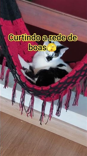 rede de pet#crochet #redepet#gato#shorts