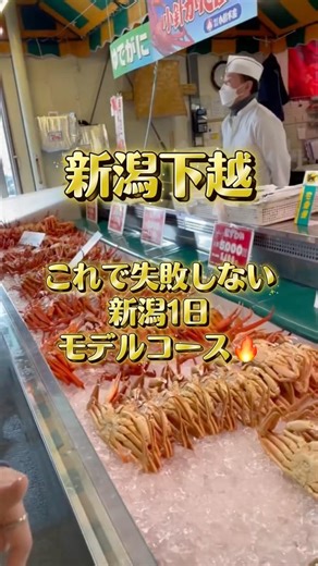 【保存必須‼️】♨️新潟1日モデルコース🍣⛩️ #国内旅行 #グルメ #新潟