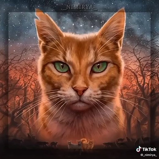 Scourge vs. Firestar: A Comparison of Warrior Cats