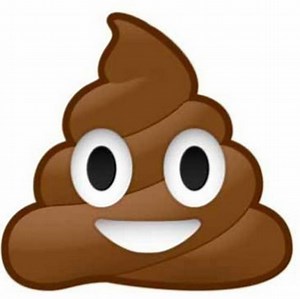 Get Your Smiling Poo Guys Ready: Sony Pictures Is Making an Emoji Movie │ Exclaim!