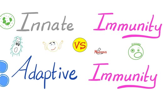 Innate Immunity vs Adaptive Immunity Complement System.Physiology Lectures