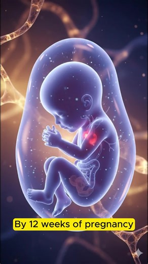 Baby Development at 12 Weeks of Pregnancy | Medical Facts Explained #MedLifeLink #12WeeksPregnant #BabyDevelopment #PregnancyFacts #FetalDevelopment #MedicalScience