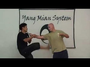 Internal Explosive Power - Fa Jing.flv