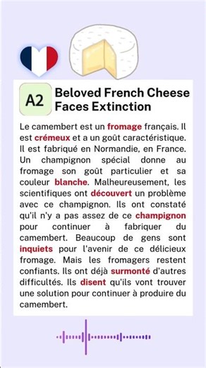 learn french start learning french learn french for beginners #shorts #french