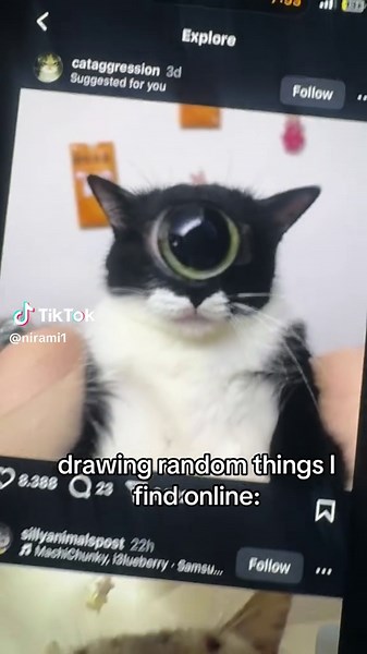 Understanding Cat Meowing Sounds and Their Meanings