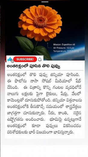 first flower on space