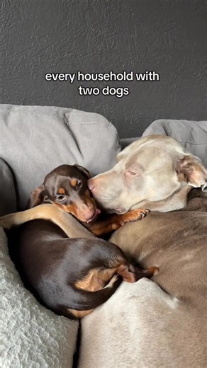 RHUBARB + PLUM on Instagram: "let me know if you can relate 😅😮‍💨"