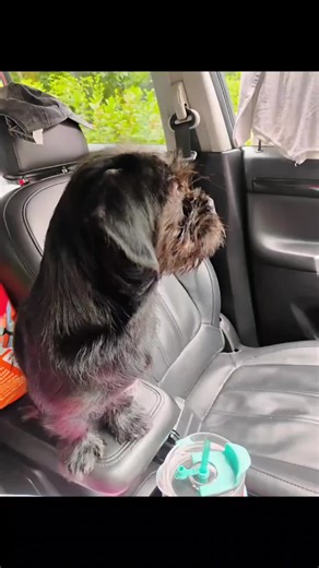 Princess Turtle (@princess.turtle0)’s videos with i miss your warm hands - i don't like mirrors