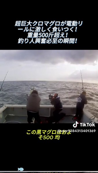 超巨大クロマグロが電動リールに激しく食いつく！重量500斤超え！釣り人興奮必至の瞬間！#クロマグロ #釣り動画 #巨大魚 #釣り好き #海釣り #釣りギア #釣り初心者 #釣り好きな人と繋がりたい #魚釣り #漁業 #アウトドア #日本の釣り #釣り好き女子 #釣り男子 #釣りTikTok#tiktok #fyp