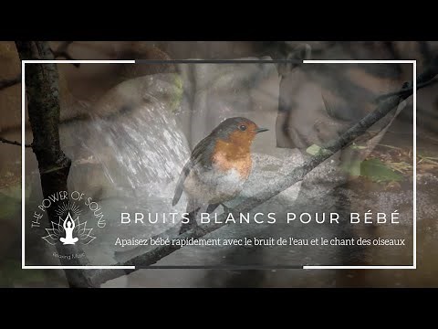 Bruit blanc pour calmer bébé | Chant des oiseaux et bruit de l'eau qui coule pour endormir bébé | 1h