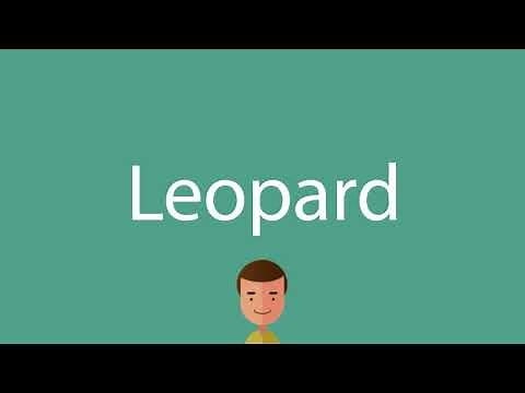 Leopard pronunciation