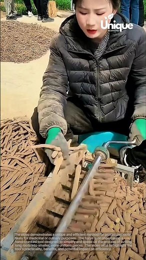 Revolutionary root processing: efficient and easy-to-use tool