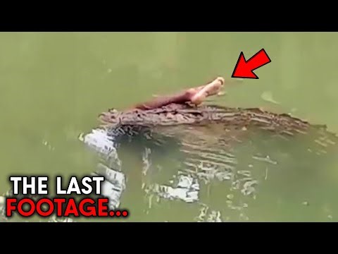 The Most HORRIFYING Crocodile Attacks Ever Recorded!