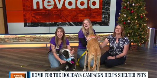 SPCA of Northern Nevada shares Home for the Holidays campaign