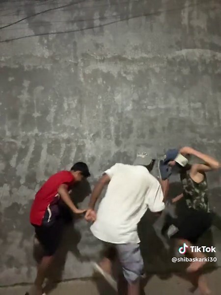 Funny Shiba Inu Comedy Video for Dog Lovers