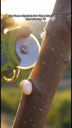 Keychain Circular Saw: Compact Tool for Pruning
