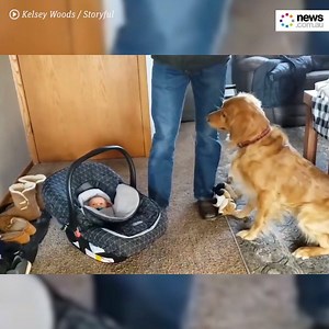 Looks like this might be the start of a beautiful friendship. ❤️ | News.com.au