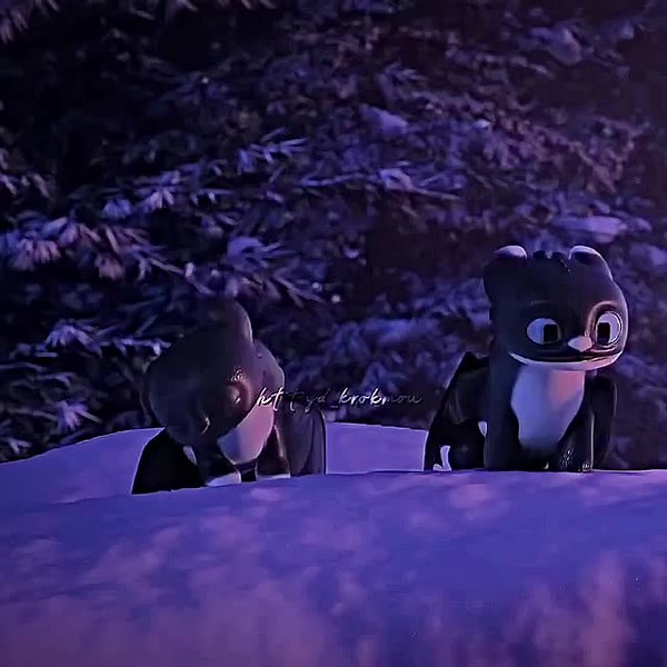 Toothless and light fury 😤 #httyd #toothless #lightfury #ninghtlights