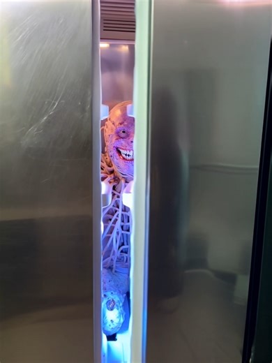 Creepy Encounter: Fridge Raided by Mysterious Creature!