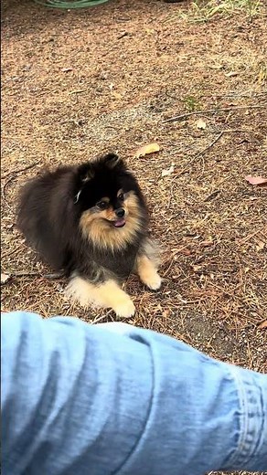 Tembo Tusk -Adventure skottle. ‪@tembotusk‬