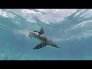 Big Pacific - Bikini Atoll - 360°