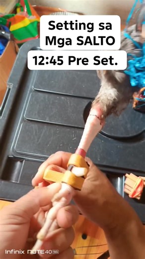 Gaffing tutorial.. SALTO. #followers #highlights | Bernard Jo