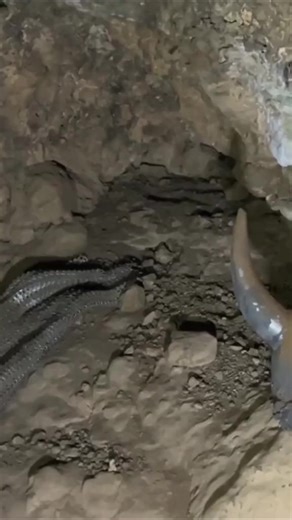 82K views · 479 reactions | Amazing metal detectector finding #treasure #california #love #newyork #life #history #vintage #instagood #gold #florida #newyorkcity #fashion #art #unitedstates #style #miami #madrid #fypシ゚viral #fyp #reels #reelsfb #reelsvideo #reelsinstagram #reelsviral #fun #funny | Jonh Kav Detector | Facebook