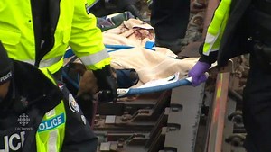 Katie, the German shepherd stuck near Davisville station, put down after TTC rescue