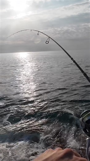 Video completo en el canal!🔥 #fishing #pesca #fish #rockfishing #spinning