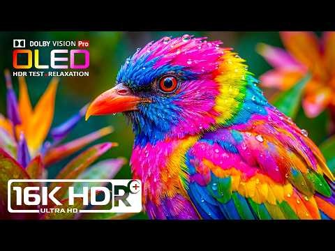 8K HDR 240fps Dolby Vision - BREATHTAKING LANDSCAPES for Ultimate Relaxation