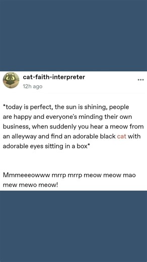 Introducing Waffles, Interpreterverse Post #tumblr #tumblrpost #tumblrtextpost