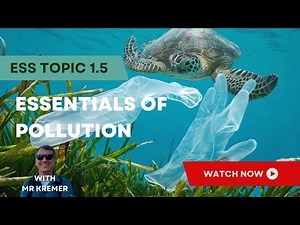 The Ultimate Guide to Pollution Types, Sources, Effects, and Solutions - ESS topic 1.5